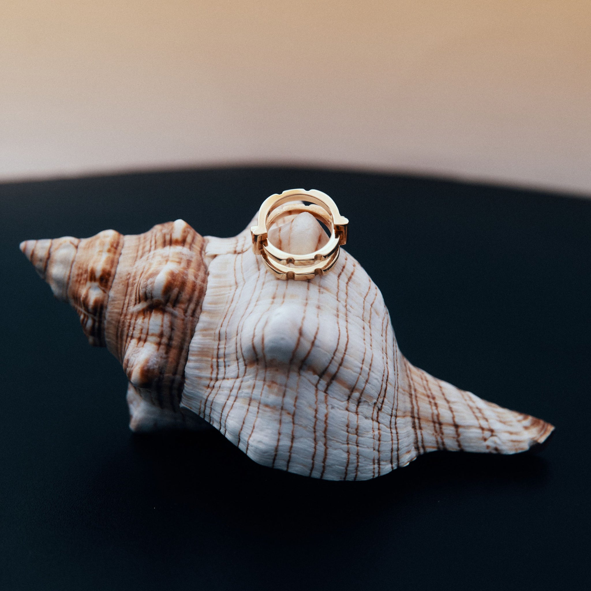 EXPERIENCE  puzzle ring