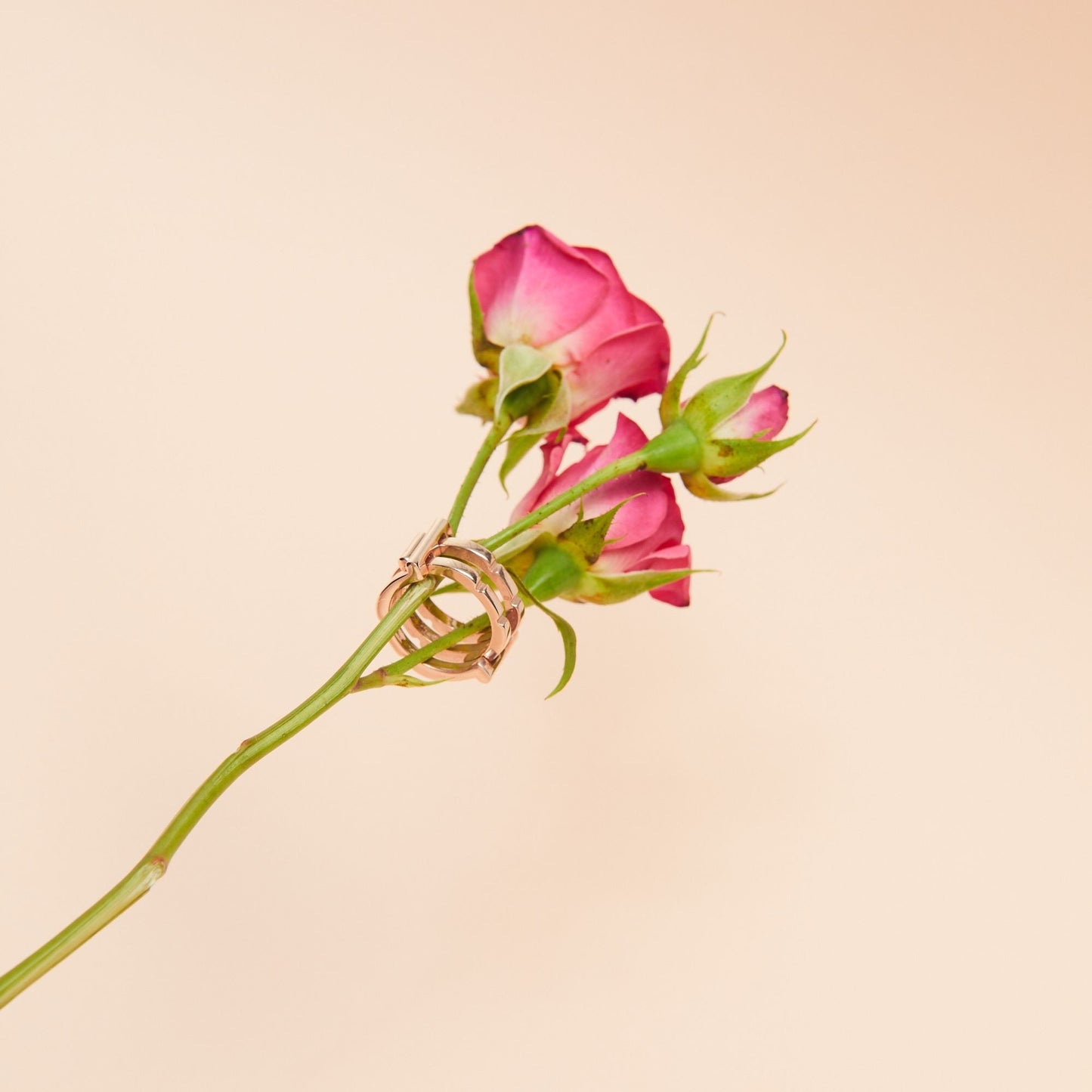 ROSE GOLD 18K  puzzle ring